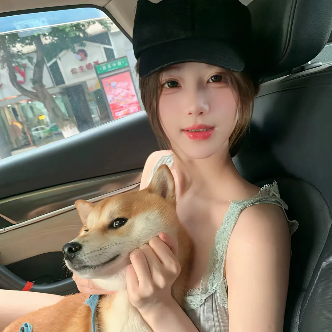 崔弟的高飞冒险