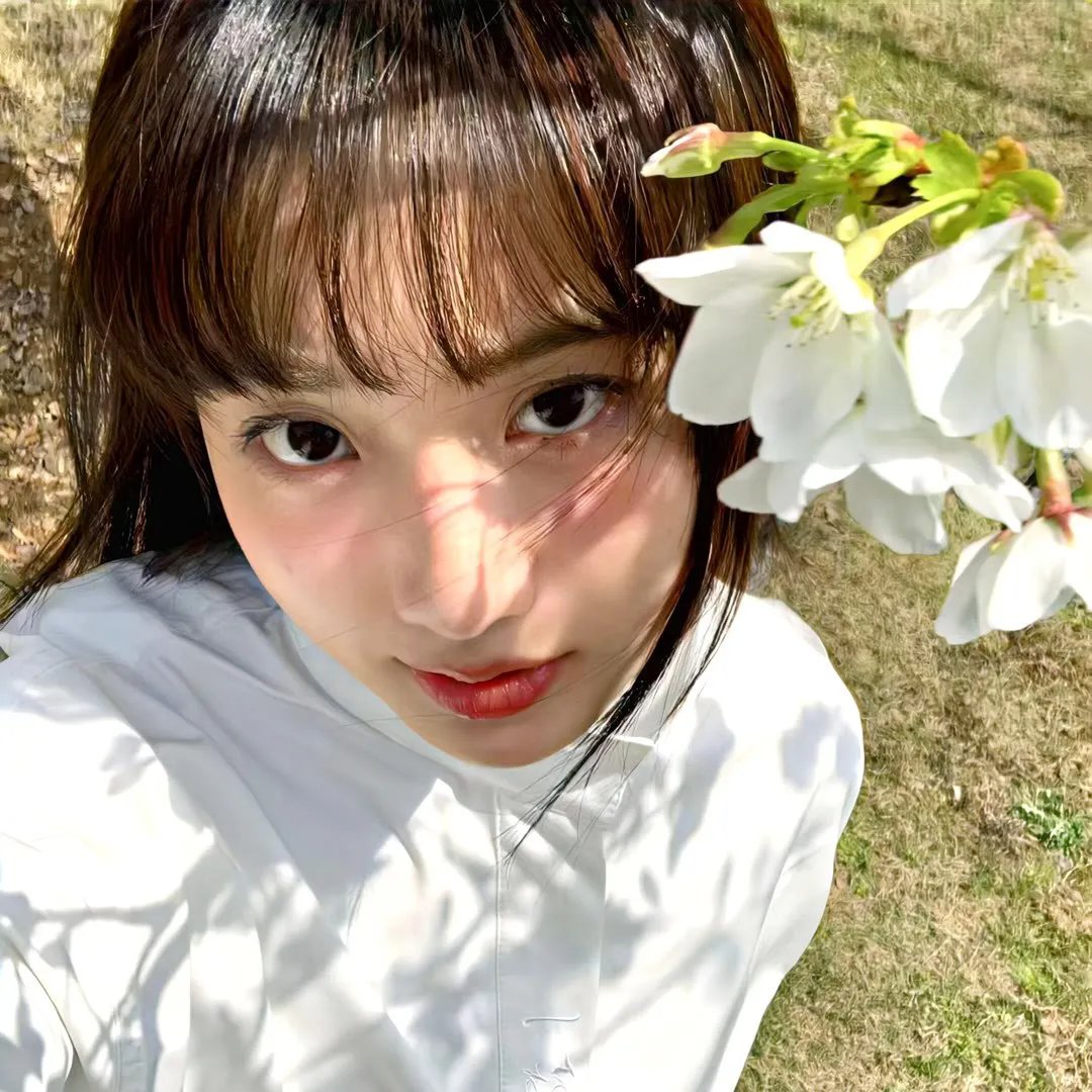 樱，重逢的加奈子